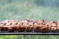 Minced meat rolls on grill (traditional Romanian food) Ã¢â¬â mititei, mici Royalty Free Stock Photo